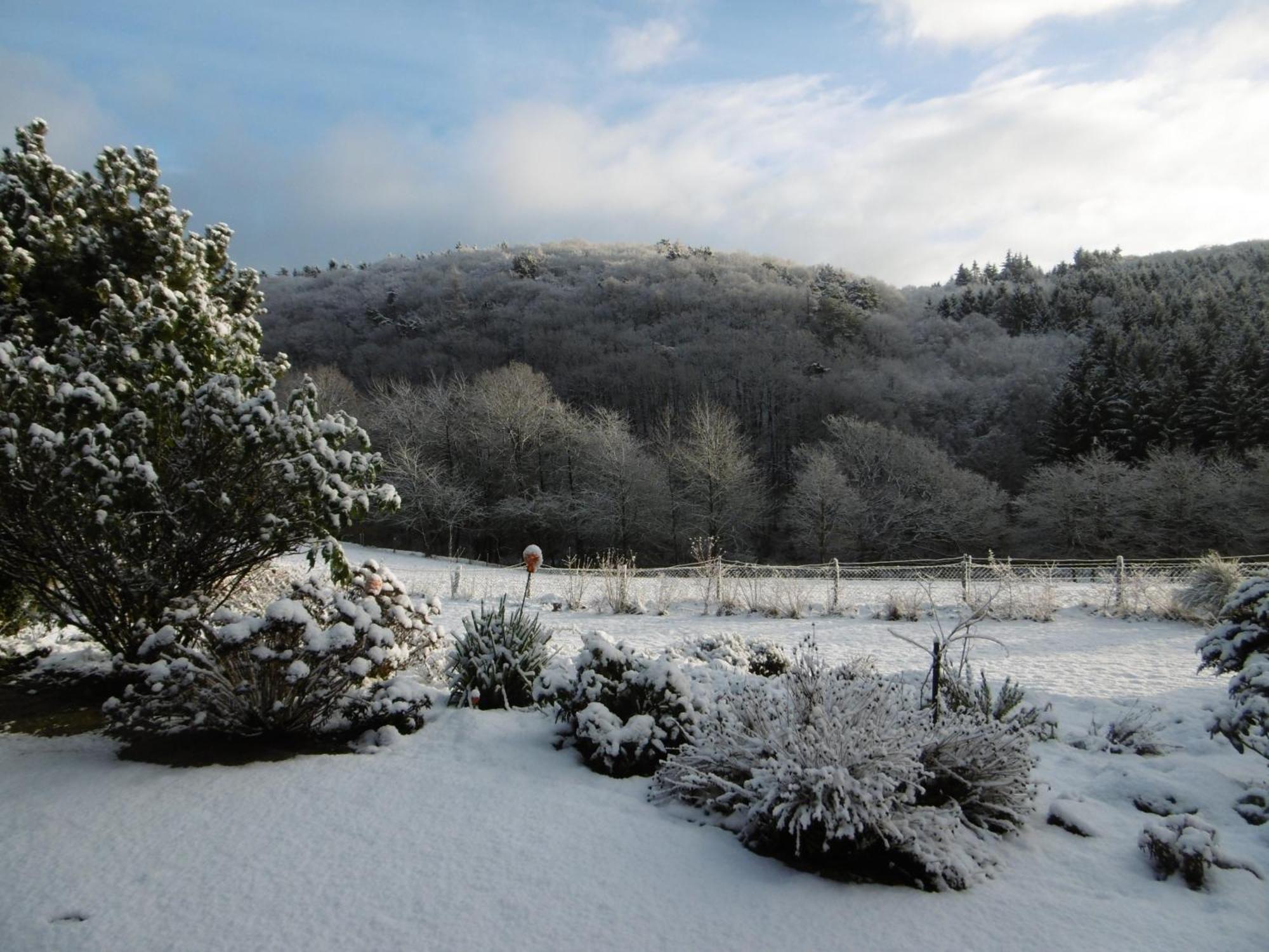 Land Des Friedens In Nettersheim / Eifel Lägenhet Exteriör bild